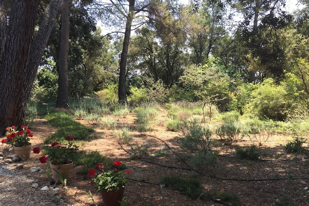 Photo of Outdoor in Mazan