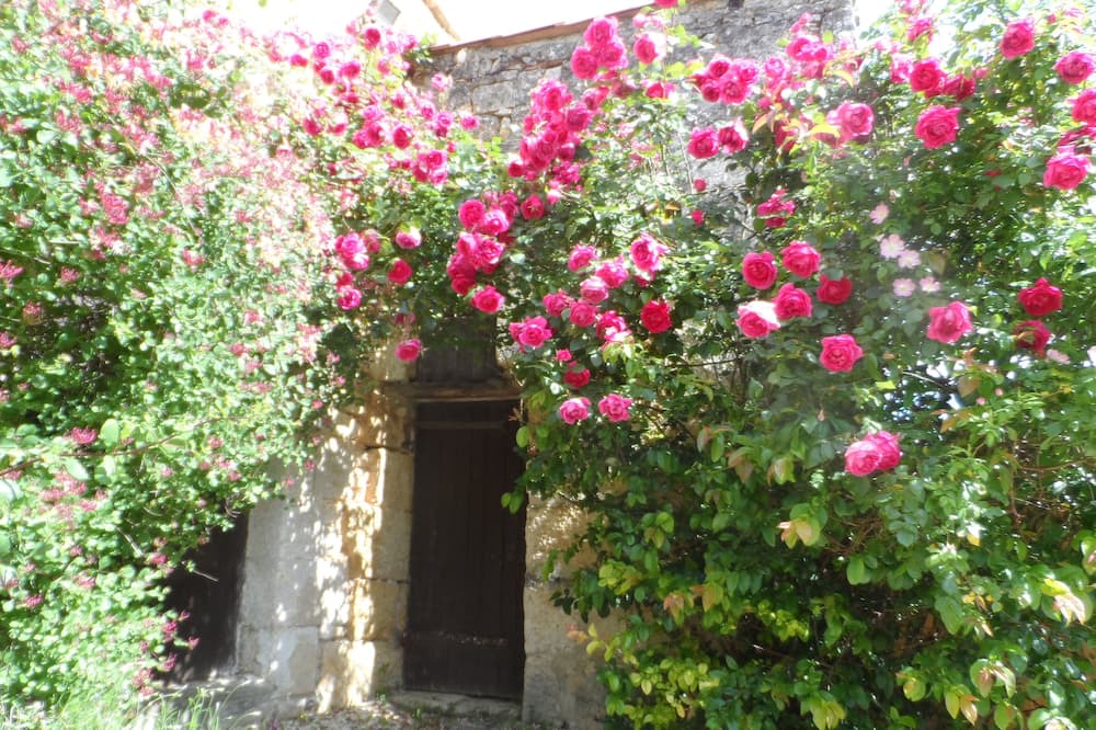 Photo of Outdoor in Sers