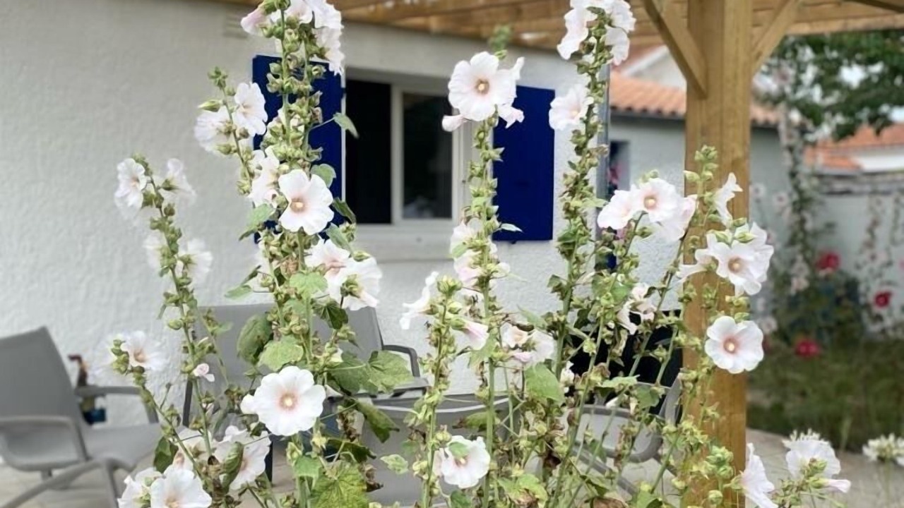 Photo of Outdoor in La Cotiniere