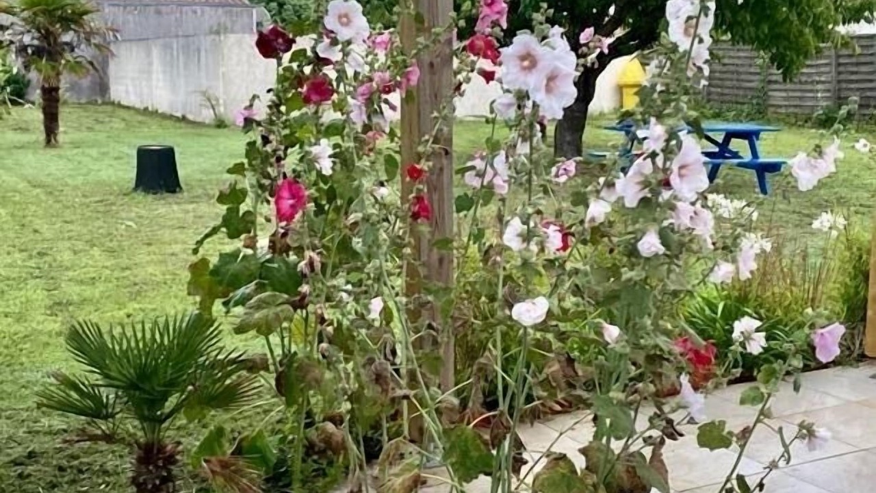 Photo of Outdoor in La Cotiniere