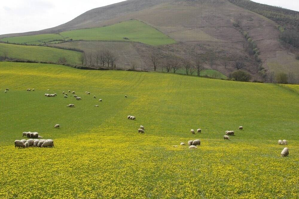 Photo of Others in Ayherre