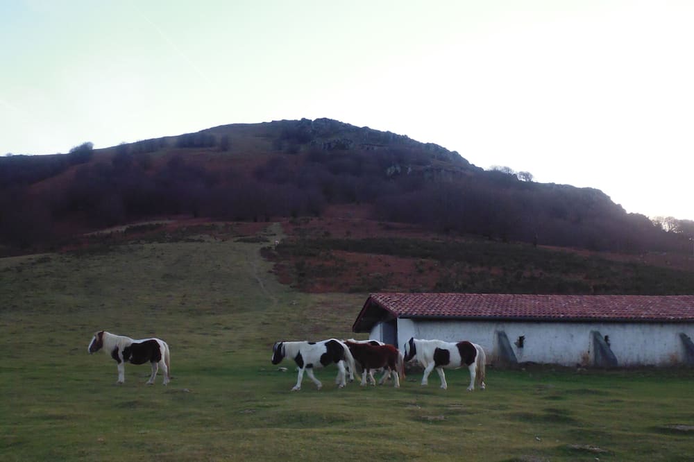 Photo of Outdoor in Ayherre