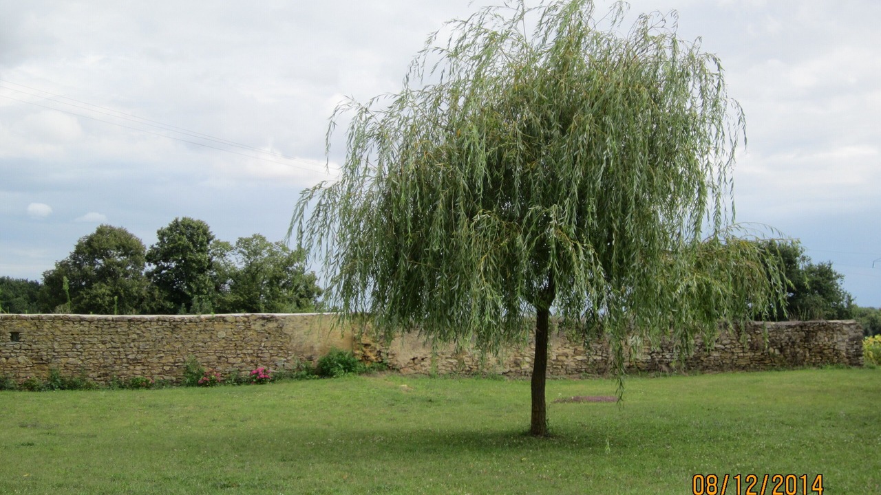Photo of Others in Cheneche