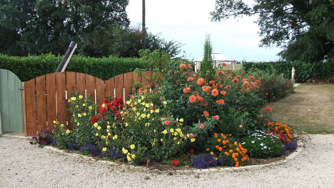 Photo of Outdoor in Savigne