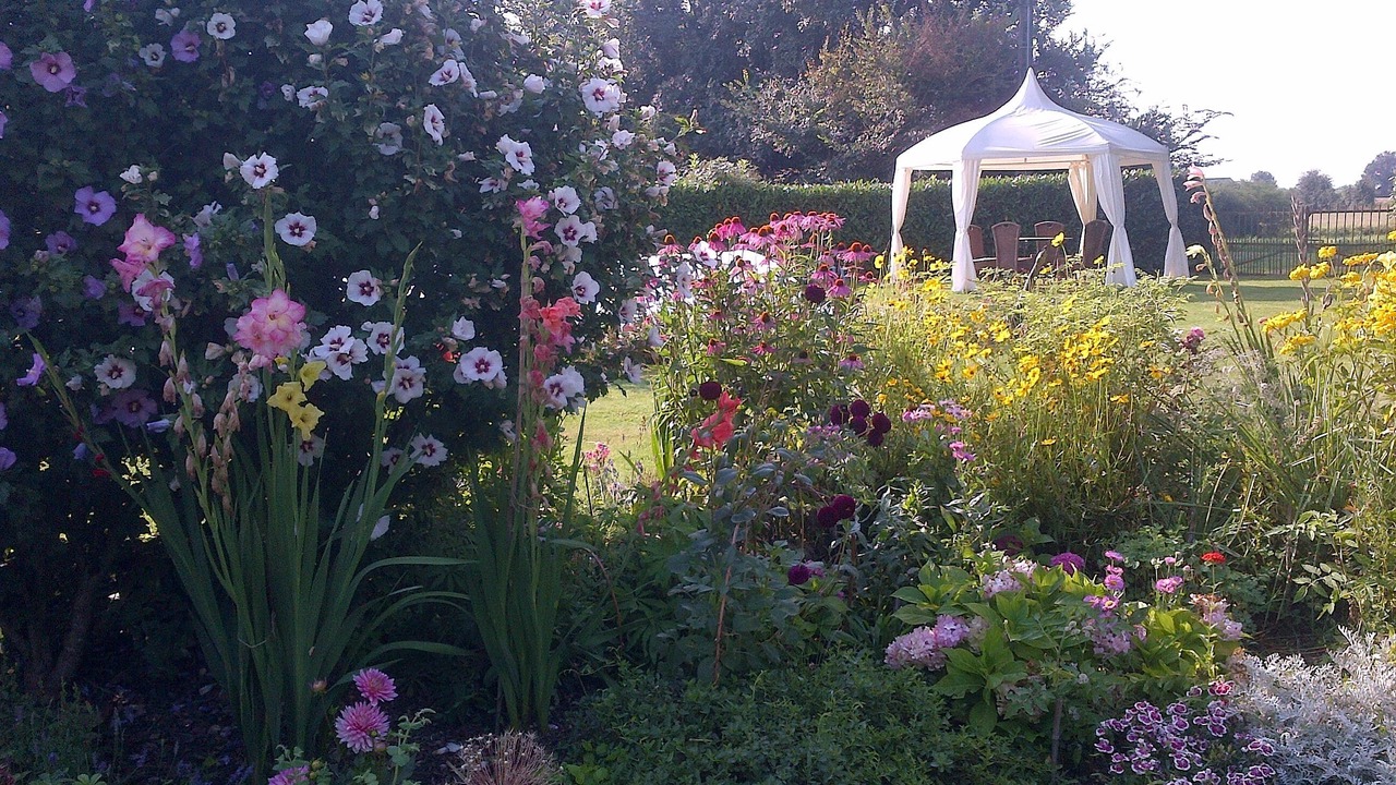 Photo of Outdoor in Savigne