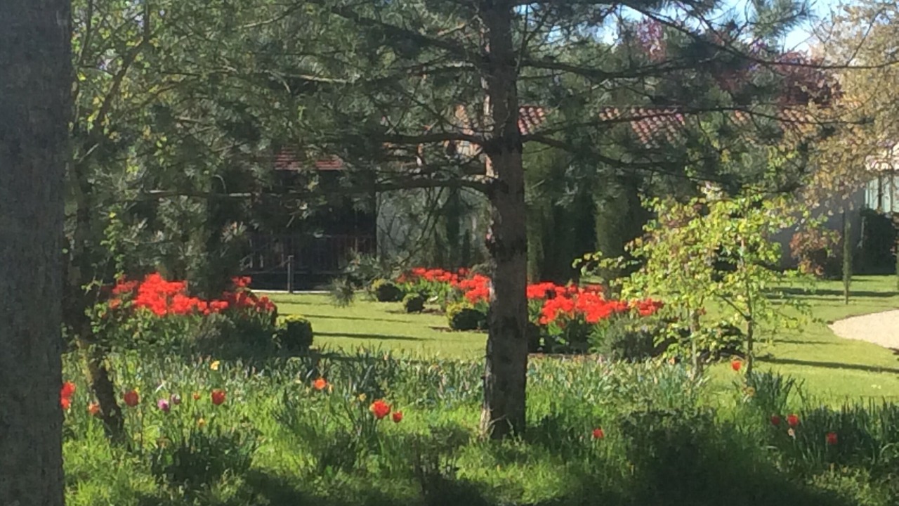 Photo of Outdoor in Savigne