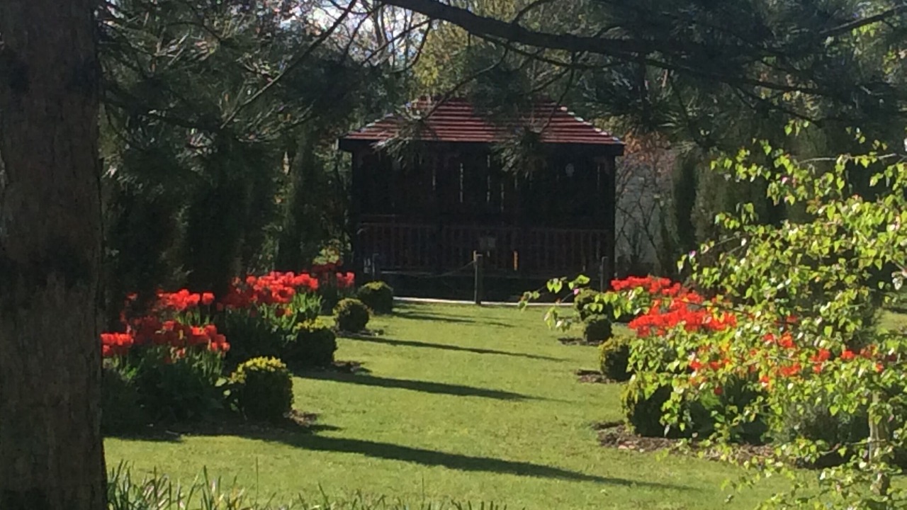 Photo of Outdoor in Savigne