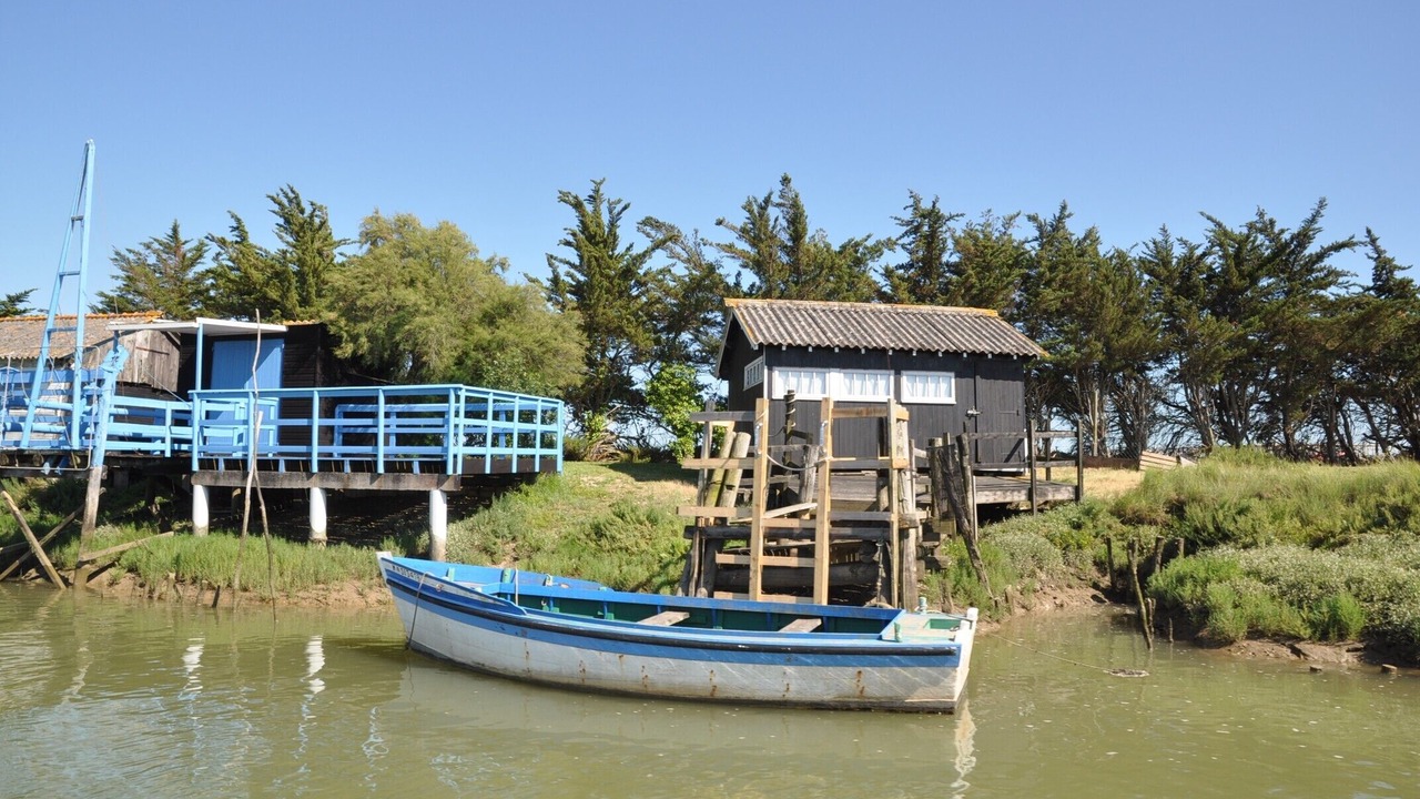 Photo of Others in Mornac-sur-Seudre