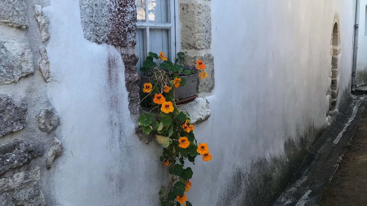 Photo of Outdoor in Mornac-sur-Seudre