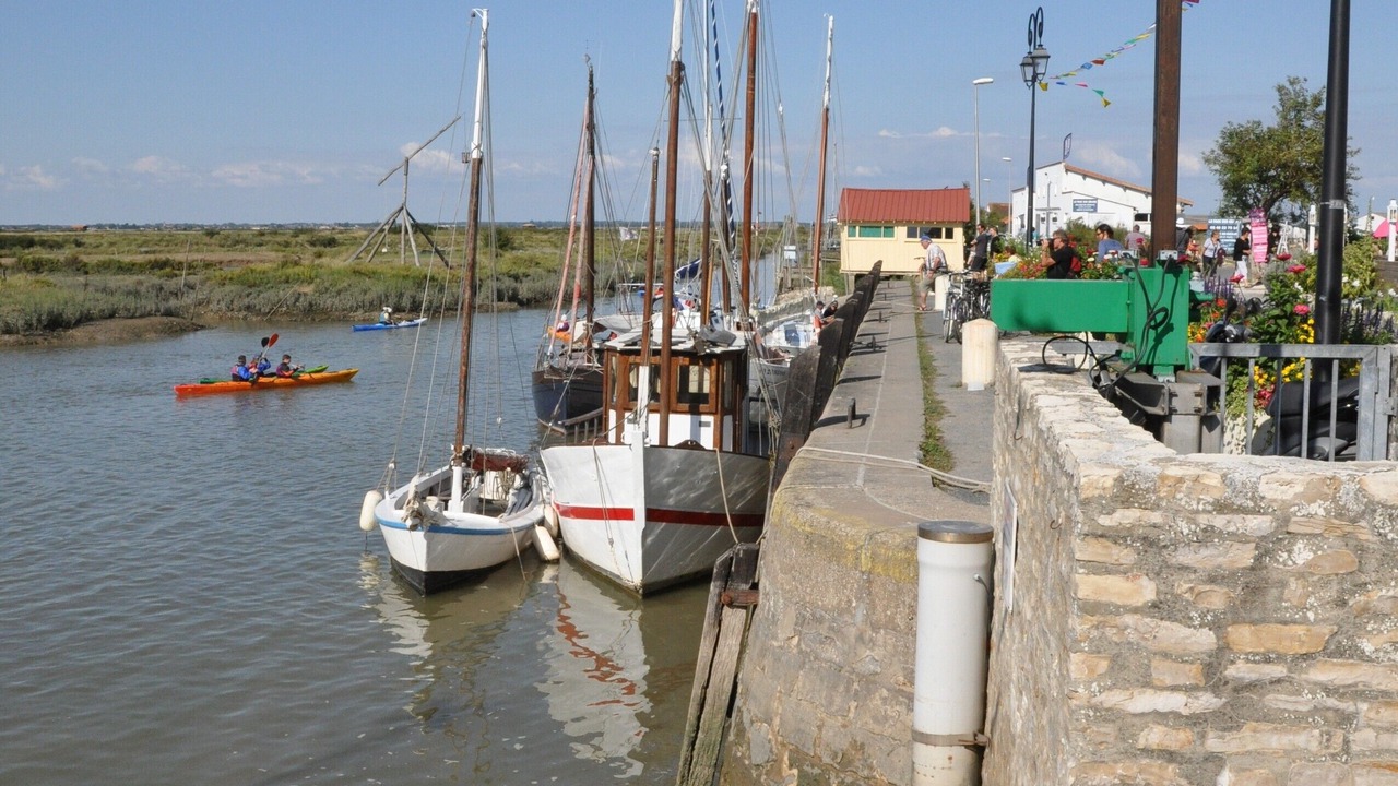 Photo of Others in Mornac-sur-Seudre