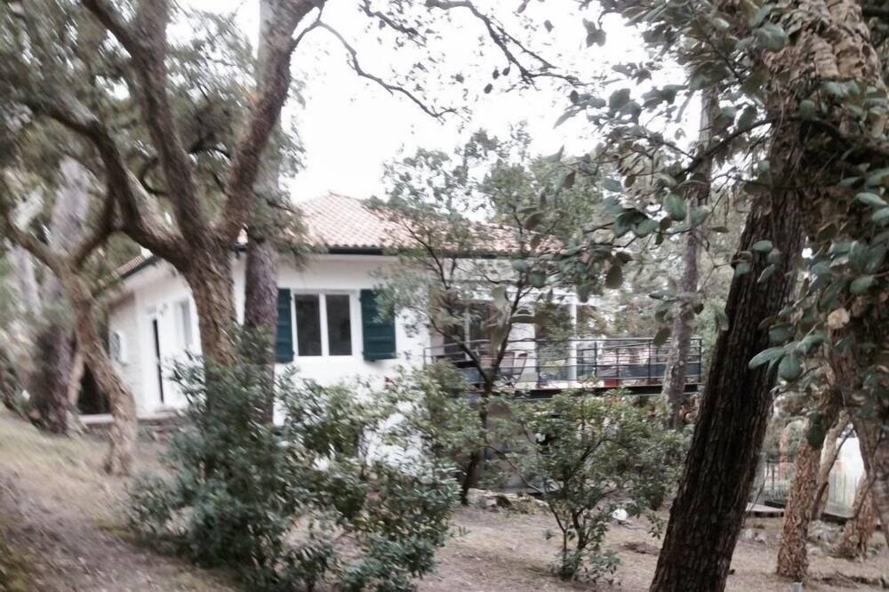Photo of Outdoor in Soorts-Hossegor