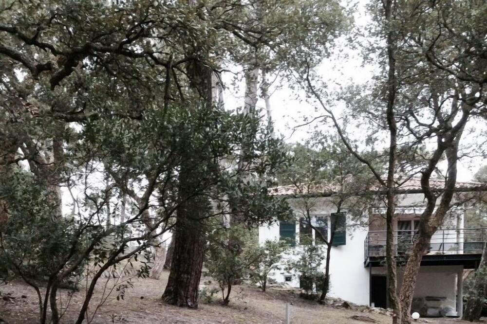Photo of Outdoor in Soorts-Hossegor
