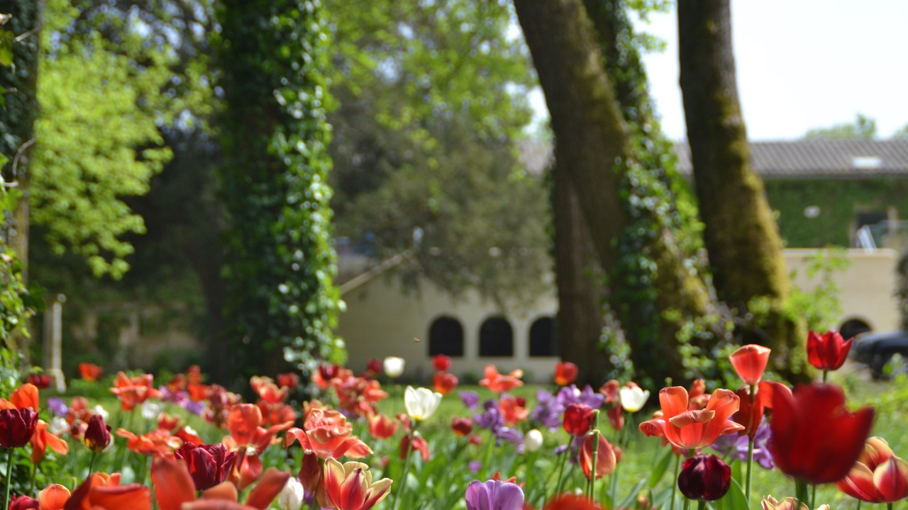 Photo of Outdoor in Leognan