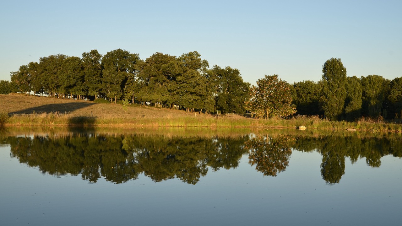 Photo of Outdoor in Saint-Avit-Senieur