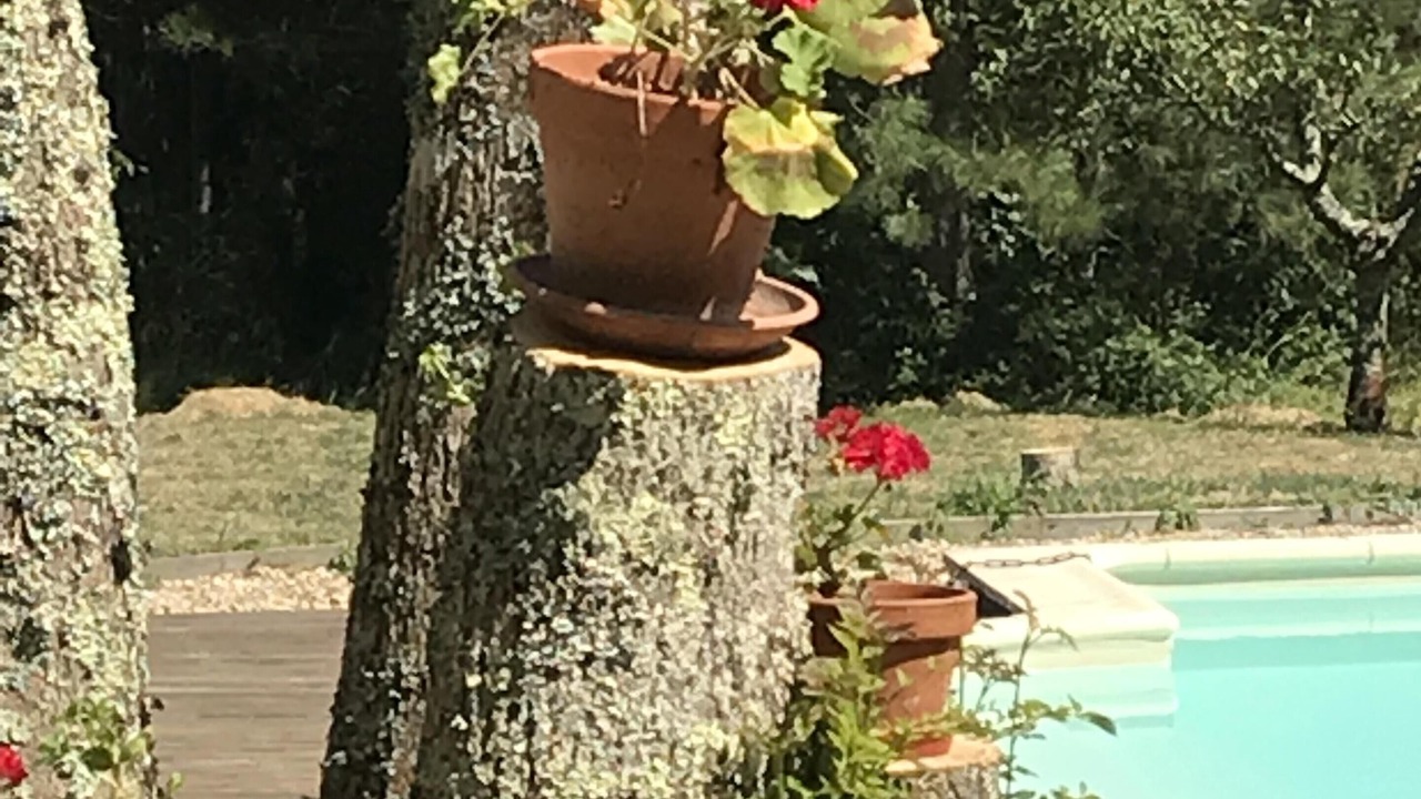 Photo of Outdoor in Chanterac