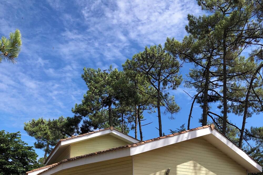 Photo of Outdoor in Vendays-Montalivet
