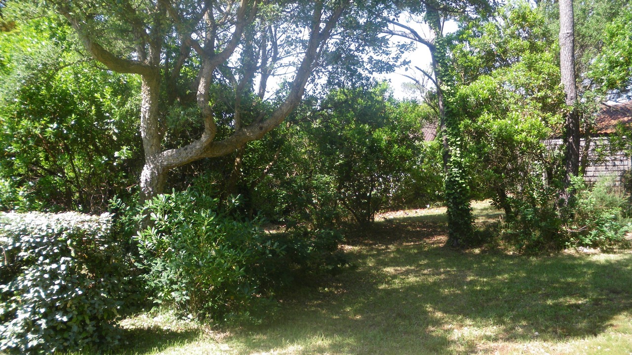 Photo of Outdoor in Les Estagnots