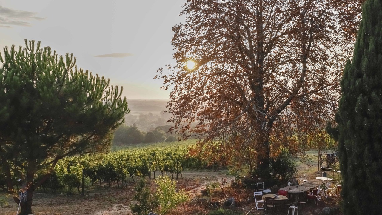 Photo of Outdoor in Rions