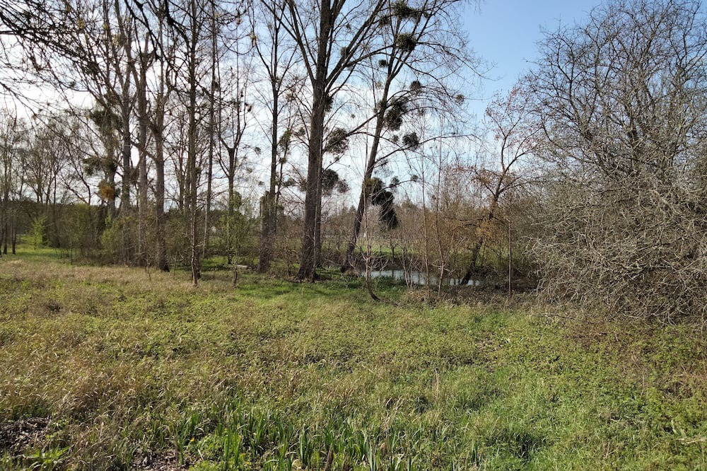 Photo of Outdoor in Saint-Germain-de-Lusignan