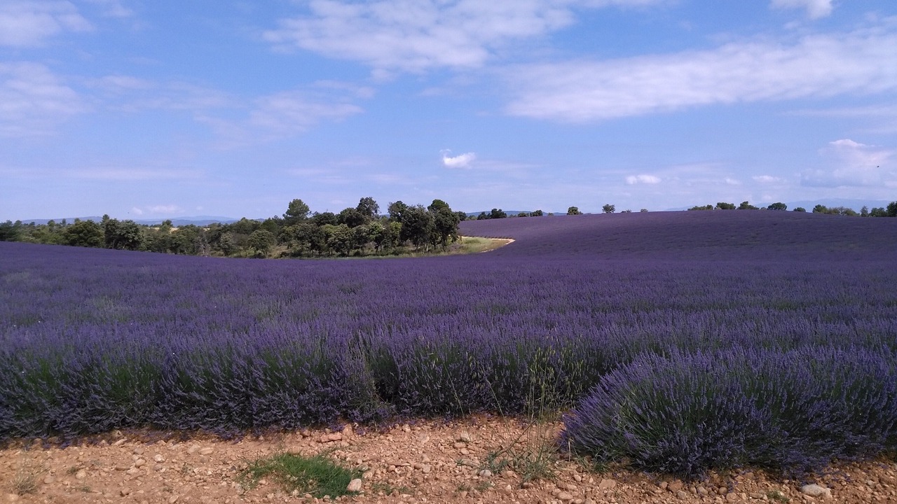 Photo of Outdoor in Saint-Martin-de-Bromes