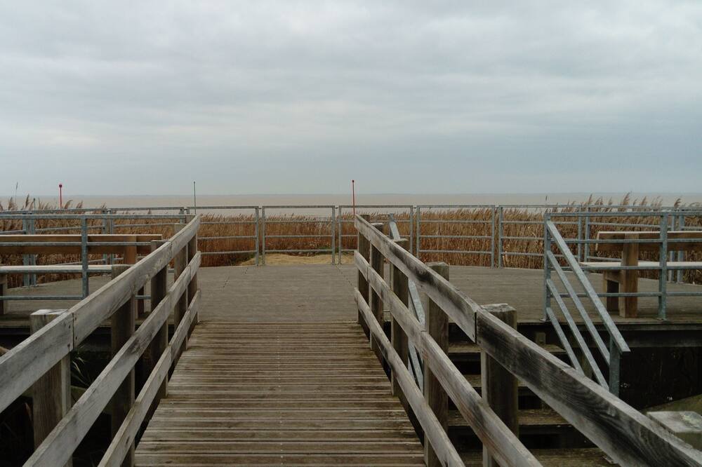 Photo of Others in Mortagne-sur-Gironde