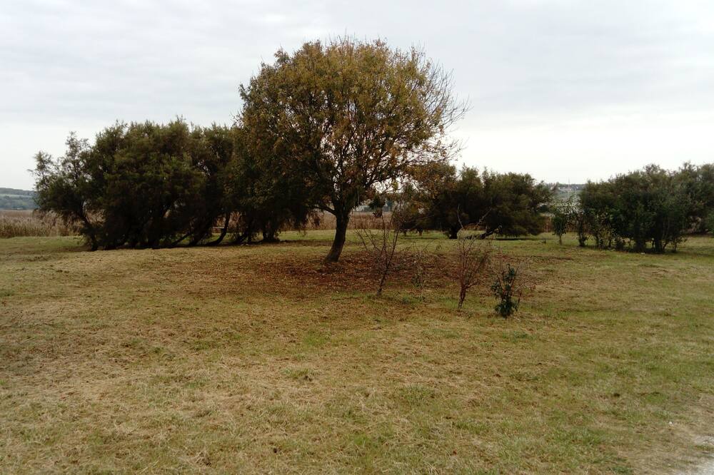 Photo of Outdoor in Mortagne-sur-Gironde