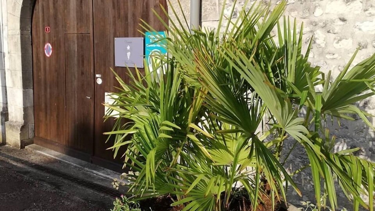 Photo of Outdoor in Saint-Palais-de-Negrignac