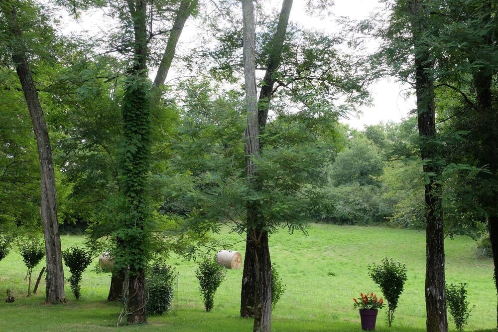 Photo of Outdoor in Lamonzie-Montastruc