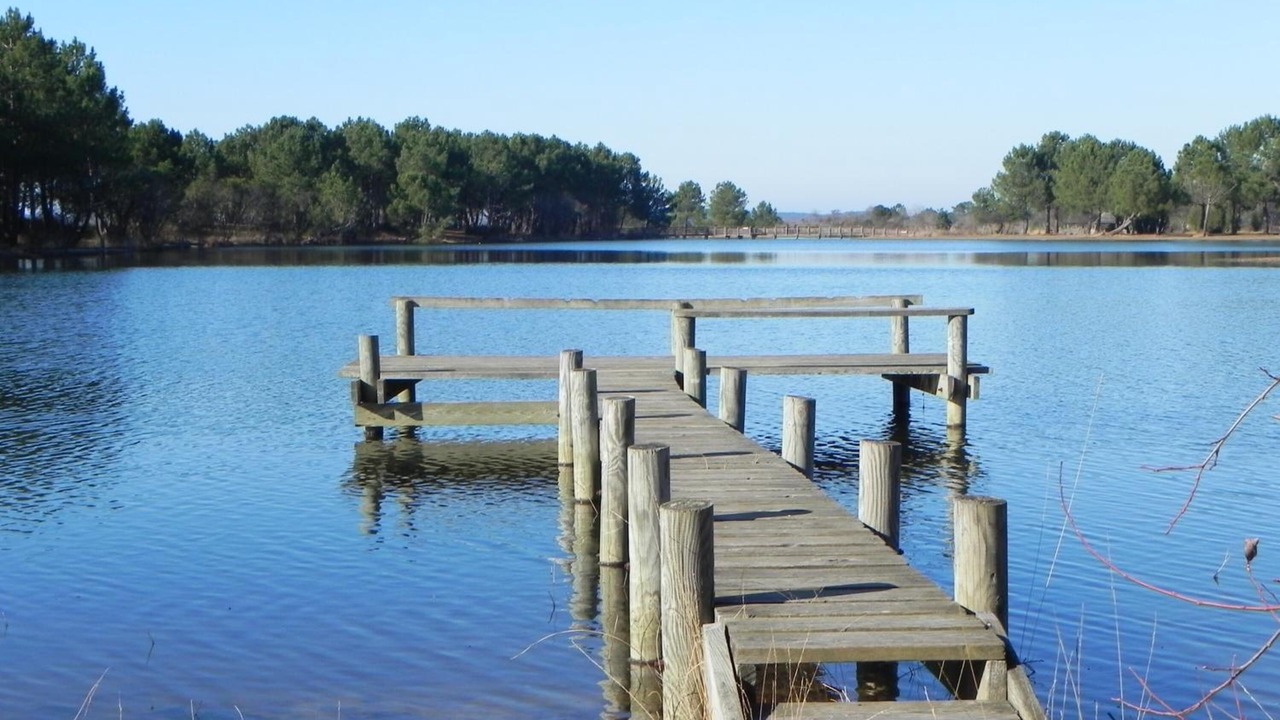 Photo of Outdoor in Hourtin