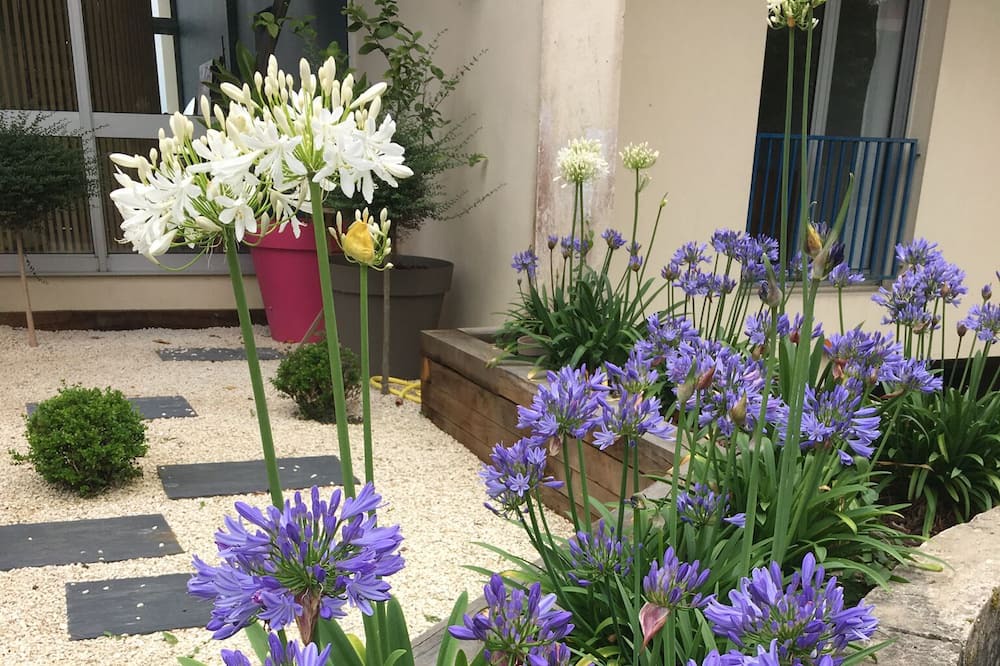 Photo of Outdoor in Saint-Martin-de-Seignanx