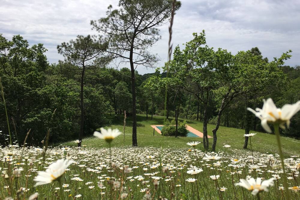 Photo of Outdoor in Saint-Martin-de-Seignanx