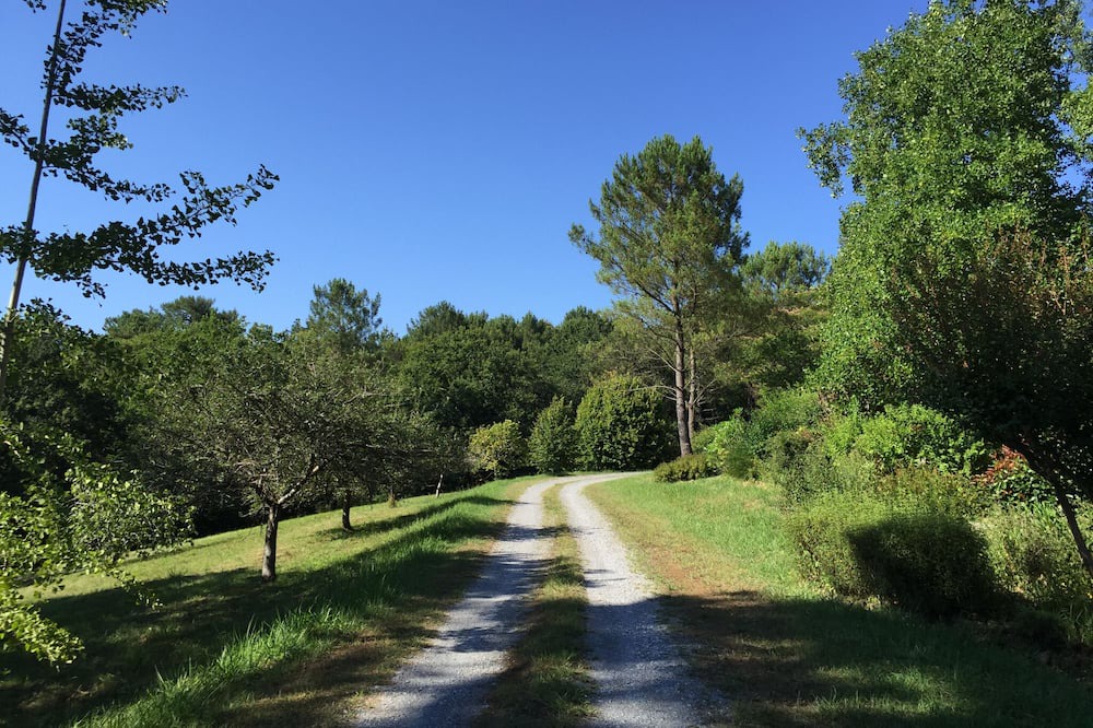 Photo of Outdoor in Saint-Martin-de-Seignanx