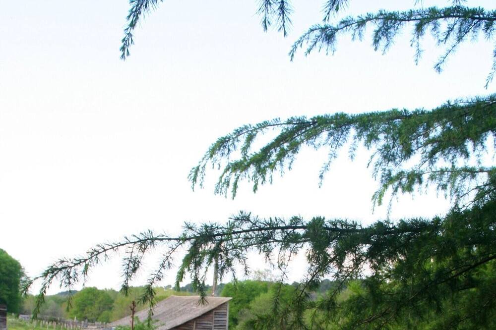 Photo of Outdoor in Saint-Front-de-Pradoux
