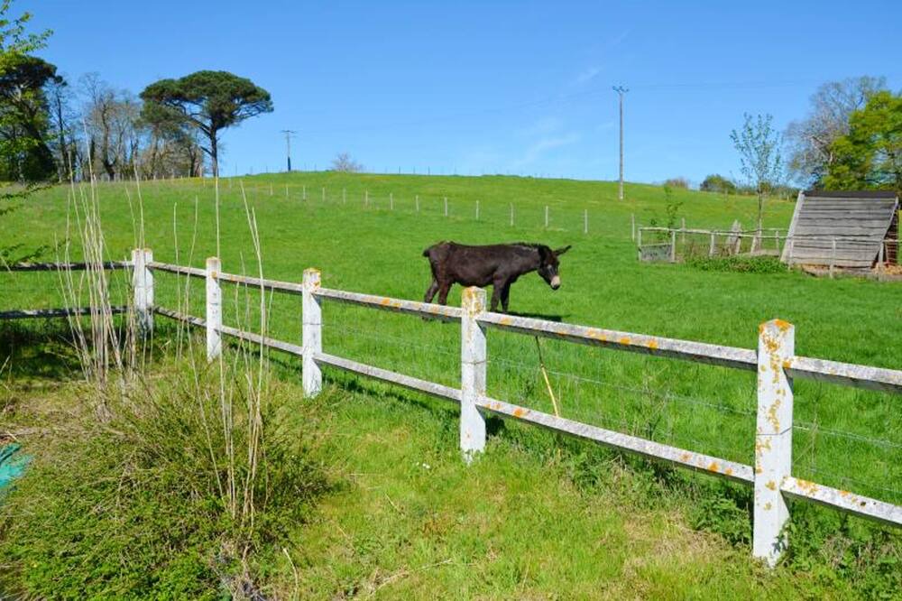 Photo of Outdoor in Saint-Front-de-Pradoux