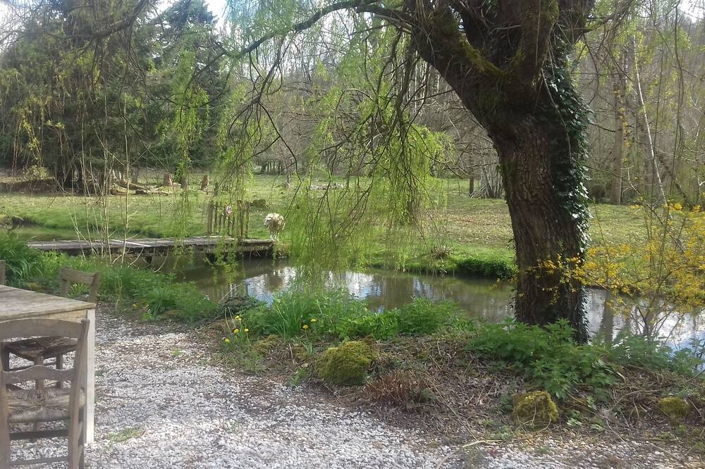 Photo of Outdoor in Chassenon
