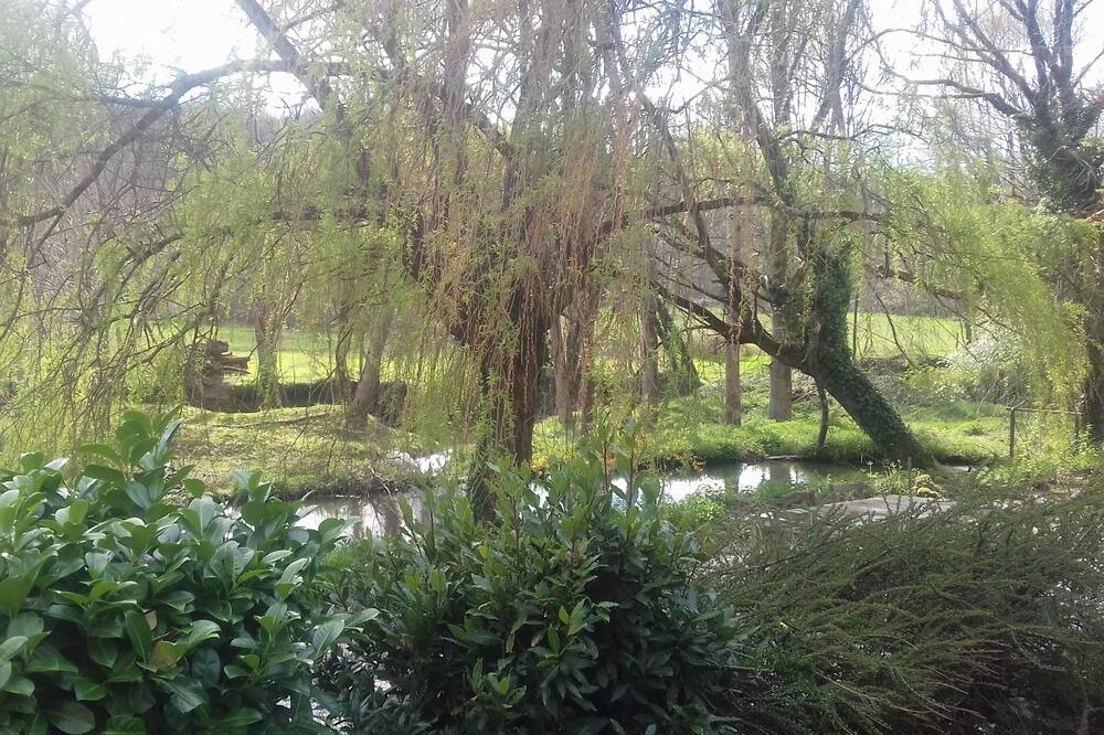 Photo of Outdoor in Chassenon
