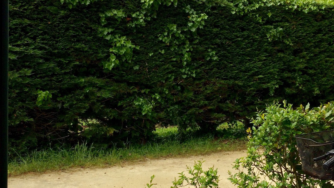 Photo of Outdoor in La Cotiniere
