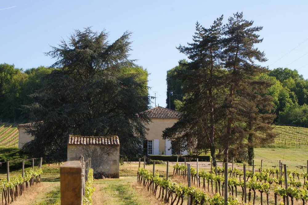 Photo of Outdoor in Castillon - Pujols Intercommunalite