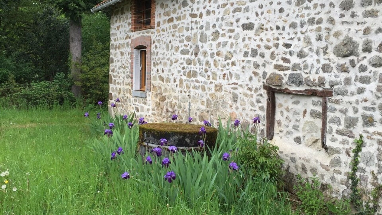 Photo of Outdoor in Saint-Dizier-Leyrenne