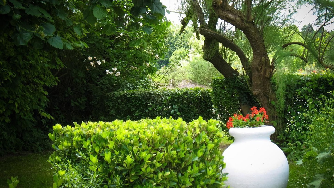 Photo of Outdoor in La Roche-Posay