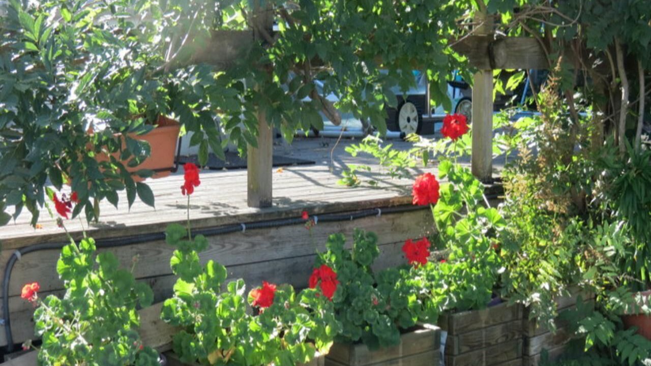 Photo of Outdoor in Balledent