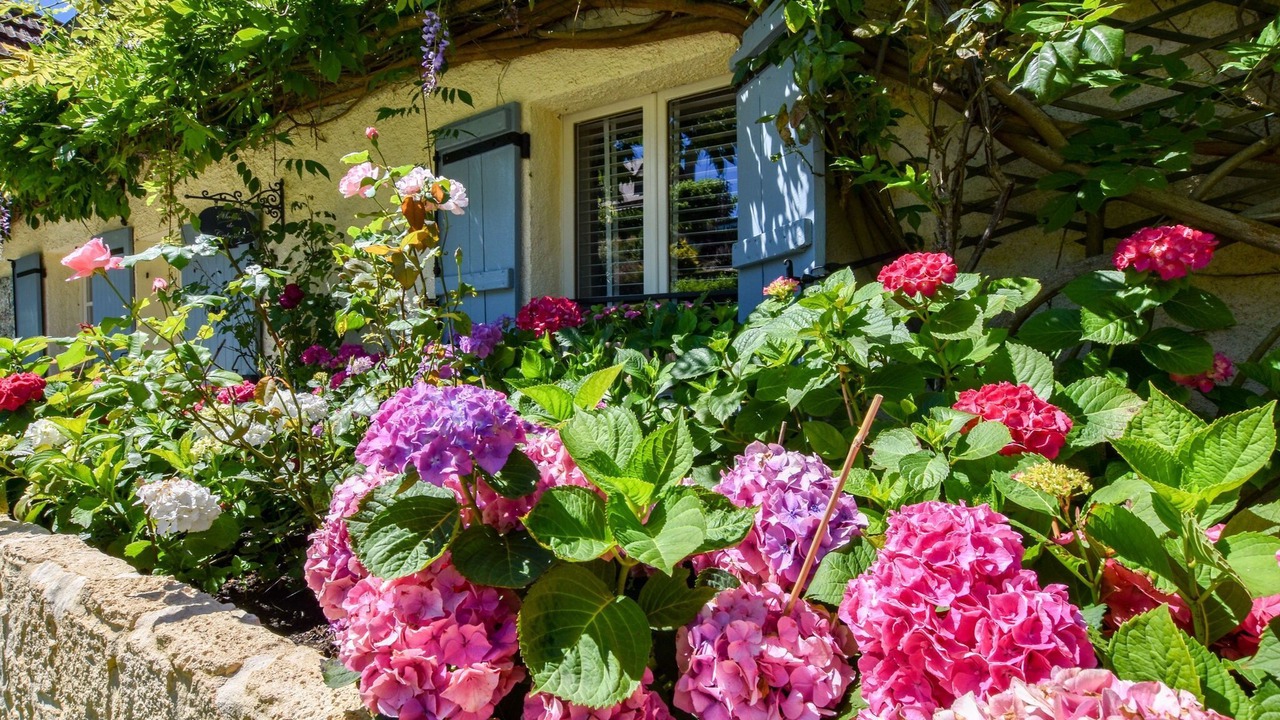 Photo of Outdoor in Villefranche-du-Perigord