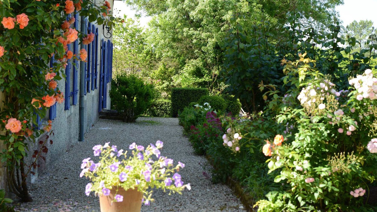 Photo of Outdoor in Saint Palais