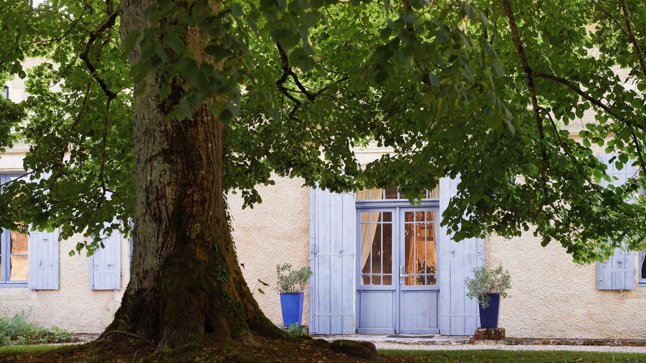 Photo of Outdoor in Saint Palais