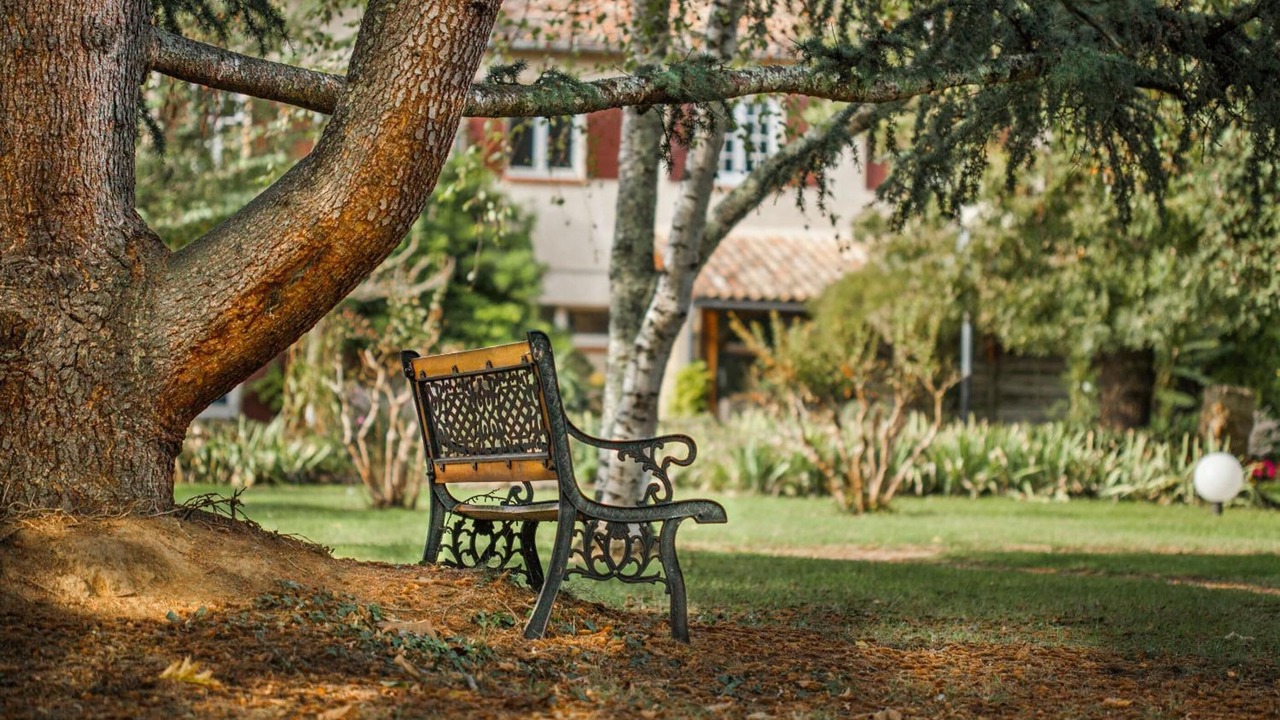 Photo of Outdoor in Bergerac
