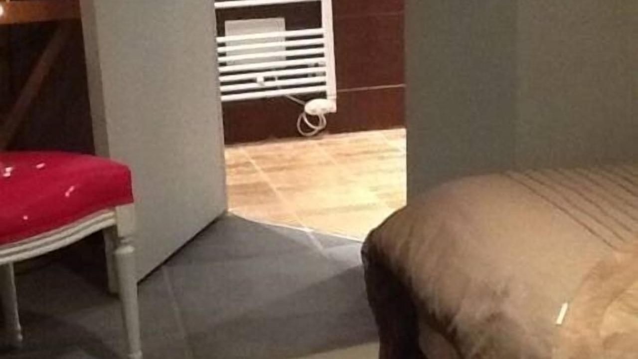 Photo of Bedroom in 13th Arrondissement