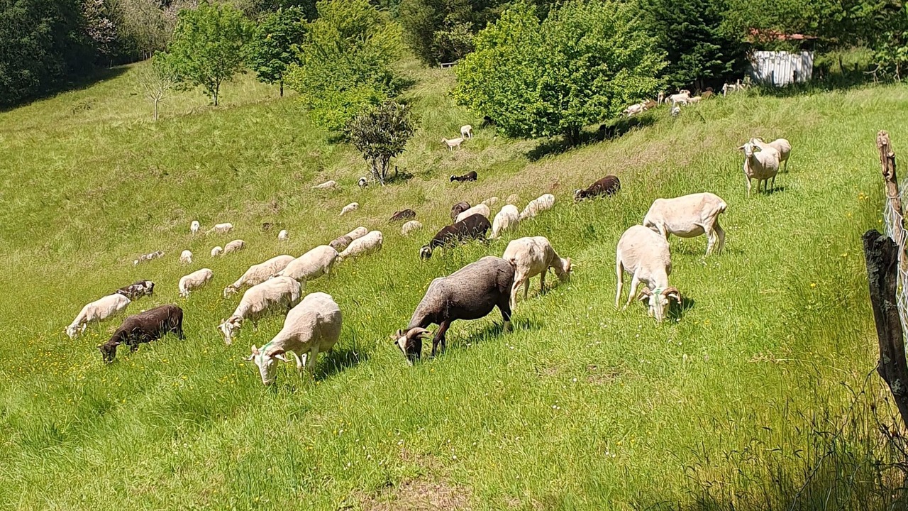Photo of Outdoor in Orthez