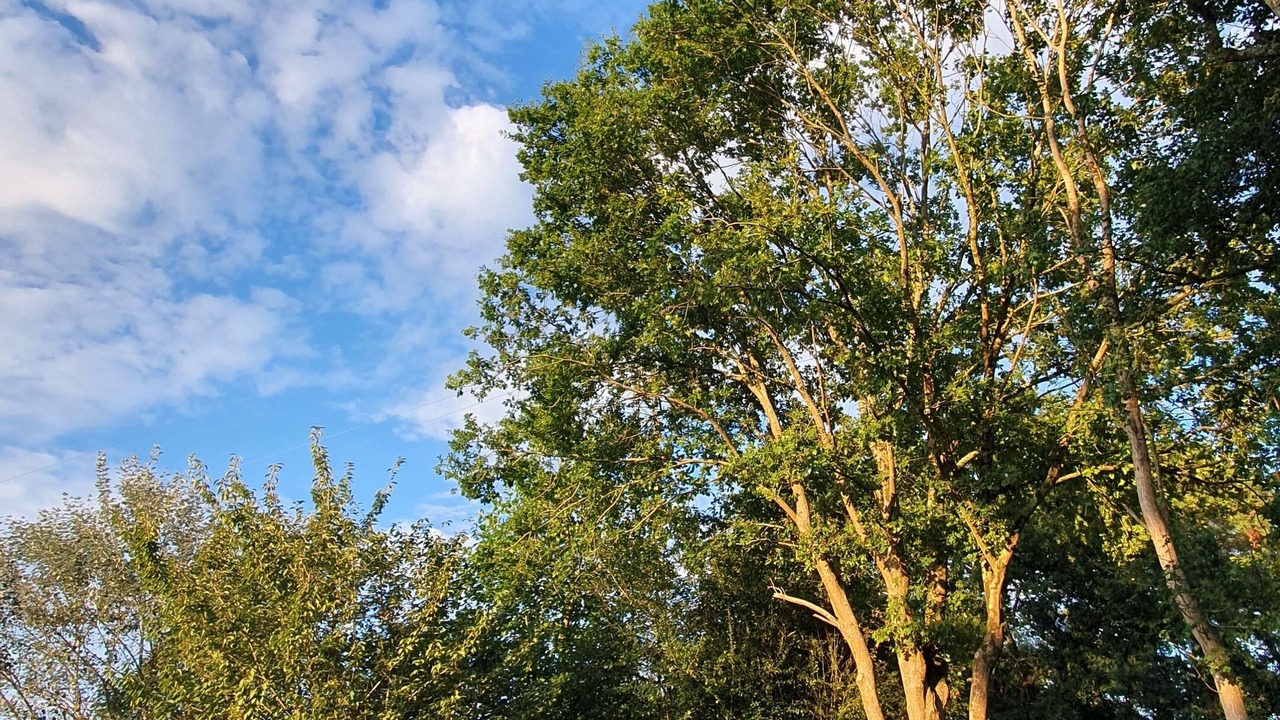 Photo of Outdoor in Orthez