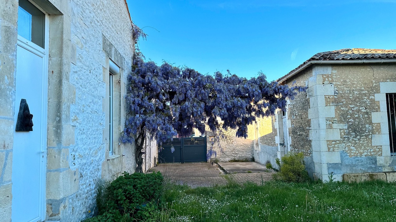 Photo of Outdoor in Semillac