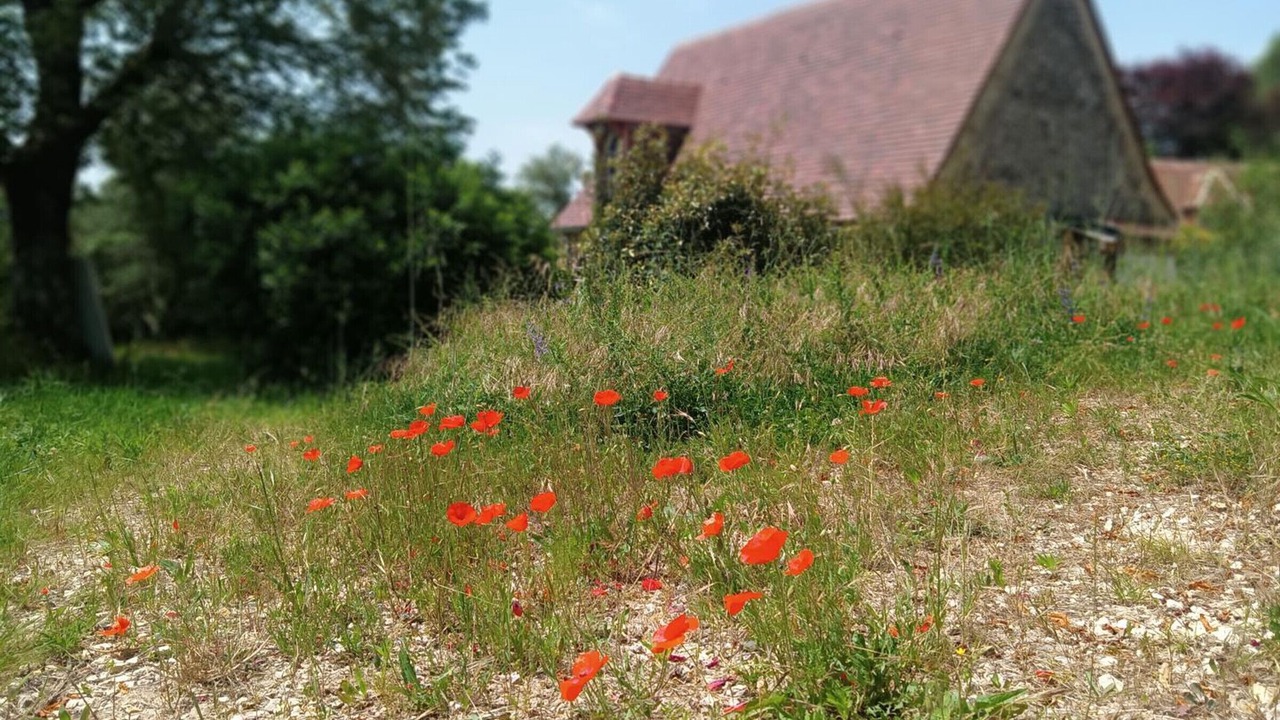 Photo of Outdoor in Le Bugue